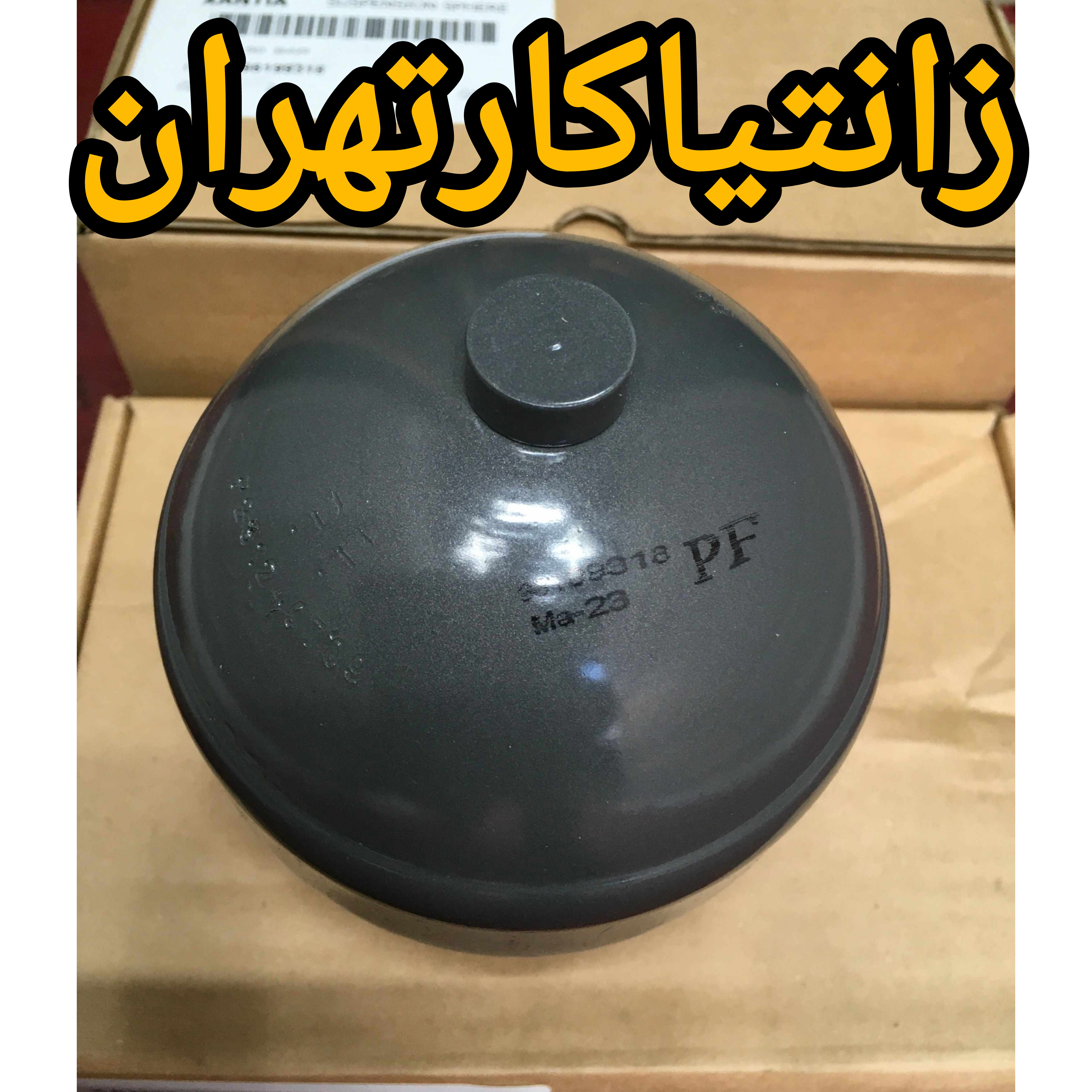 گوی عقب زانتیا PF